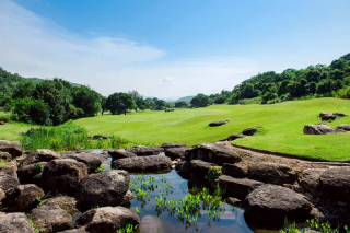 Pineapple Valley Golf Club